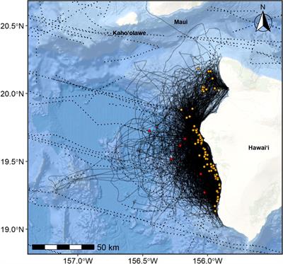 Biologically Important Areas II for cetaceans within U.S. and adjacent waters – Hawaiʻi Region